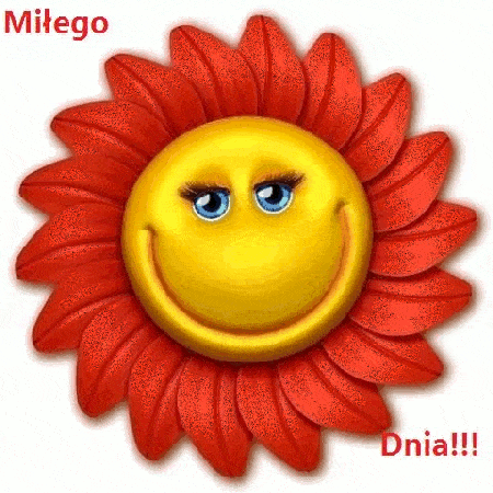 Brokatowy kwiat Miłego Dnia